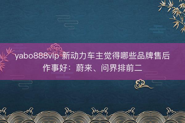 yabo888vip 新动力车主觉得哪些品牌售后作事好：蔚来、问界排前二