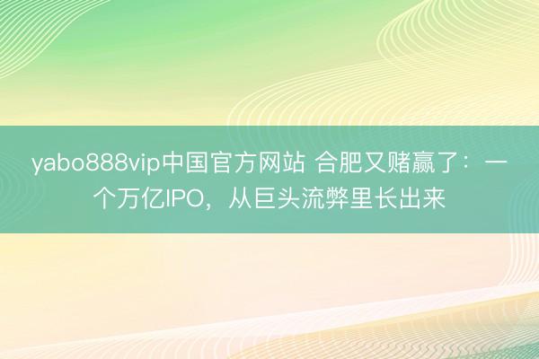 yabo888vip中国官方网站 合肥又赌赢了：一个万亿IPO，从巨头流弊里长出来