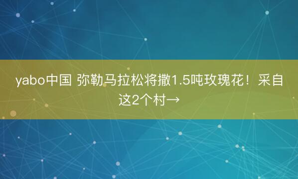 yabo中国 弥勒马拉松将撒1.5吨玫瑰花!采自这2个村→