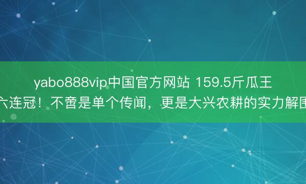 yabo888vip中国官方网站 159.5斤瓜王六连冠！不啻是单个传闻，更是大兴农耕的实力解围