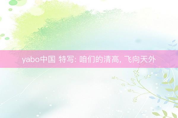 yabo中国 特写: 咱们的清高， 飞向天外