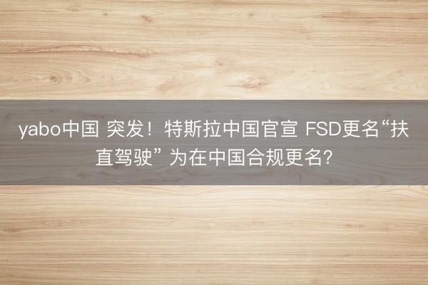 yabo中国 突发！特斯拉中国官宣 FSD更名“扶直驾驶” 为在中国合规更名？