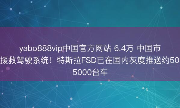 yabo888vip中国官方网站 6.4万 中国市集最贵援救驾驶系统！特斯拉FSD已在国内灰度推送约5000台车