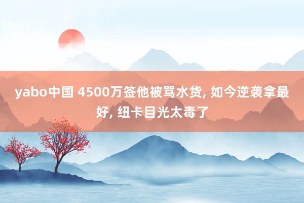 yabo中国 4500万签他被骂水货， 如今逆袭拿最好， 纽卡目光太毒了